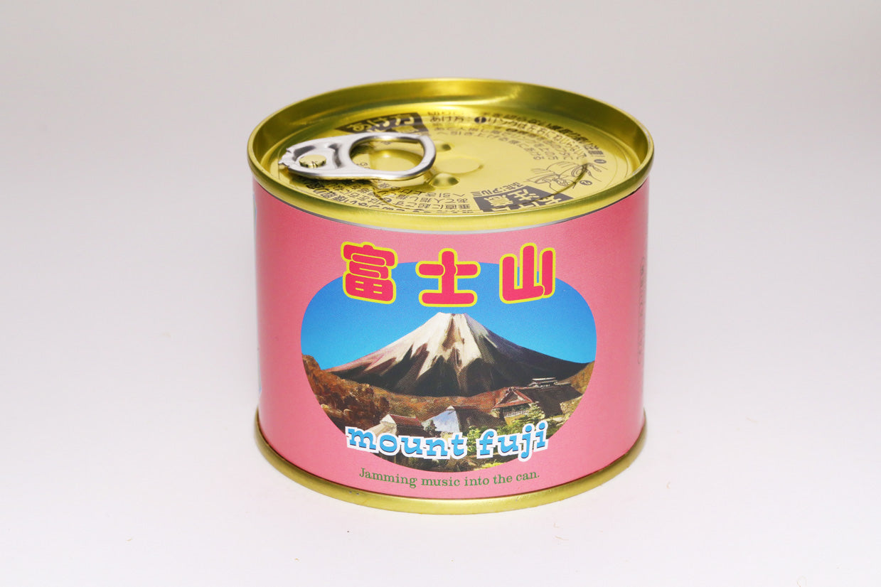 富士山 / mount Fuji