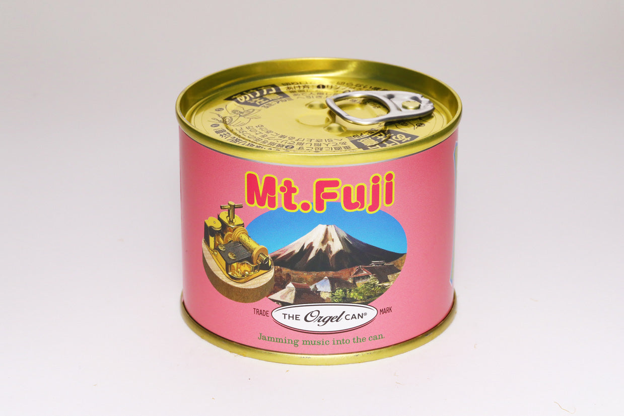 富士山 / mount Fuji